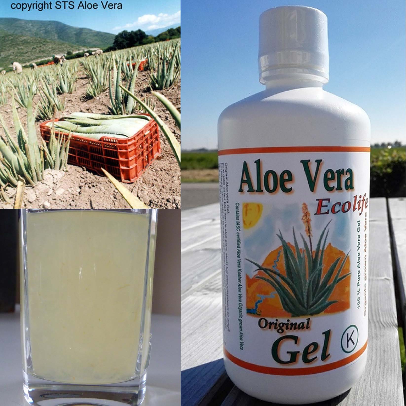 sticker Haalbaar Graf echte aloe vera producten - Aloe Gel puur en gezond