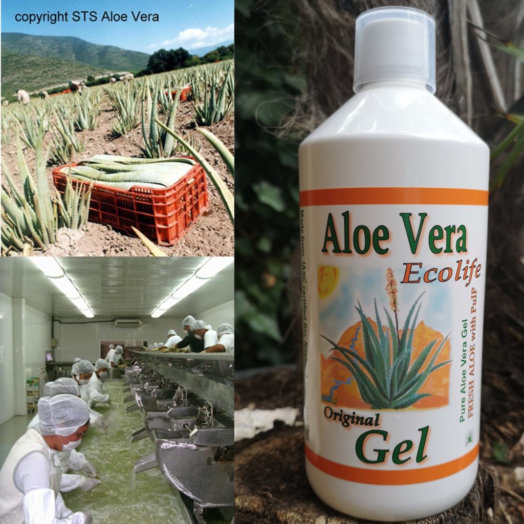 aloe vera producten en kwaliteit - Aloe Gel puur